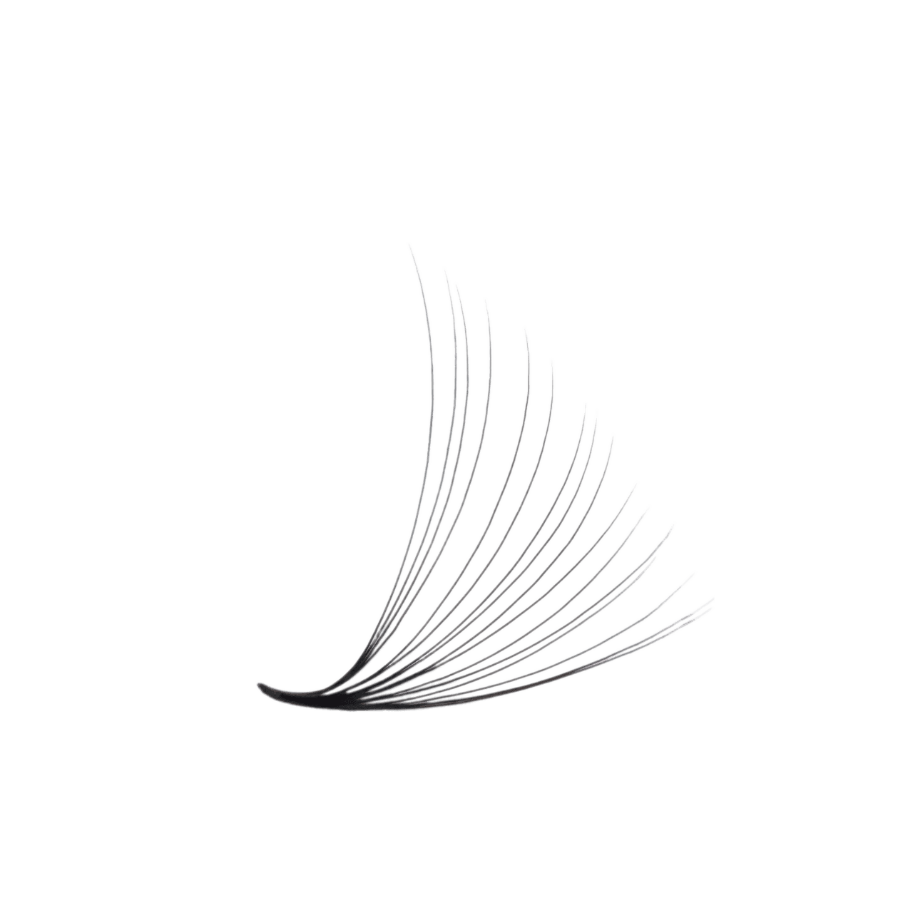 3D LASHBOOK Promade Volume Fans 3D LASHBOOK Promade Volume Fans