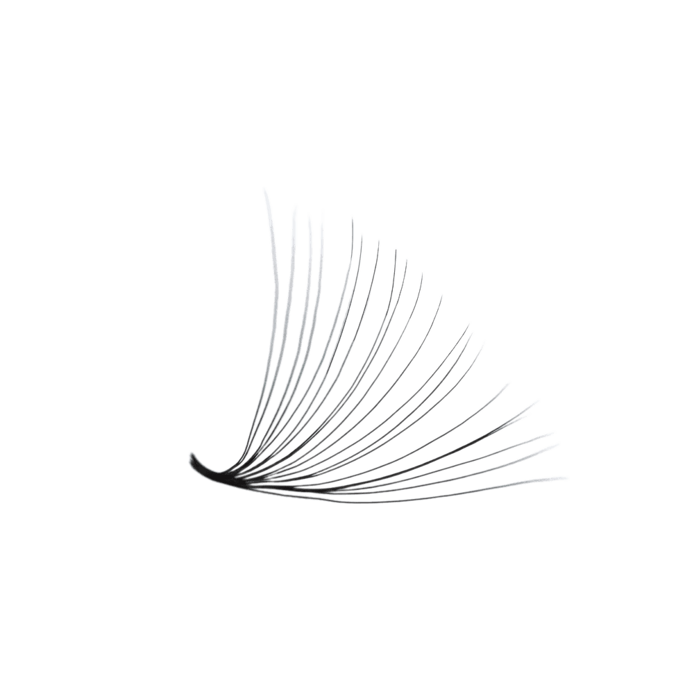 3D LASHBOOK Promade Volume Fans 3D LASHBOOK Promade Volume Fans