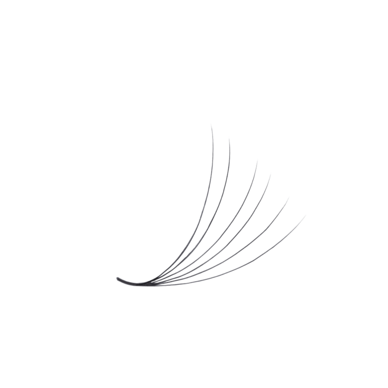 3D LASHBOOK Promade Volume Fans 3D LASHBOOK Promade Volume Fans