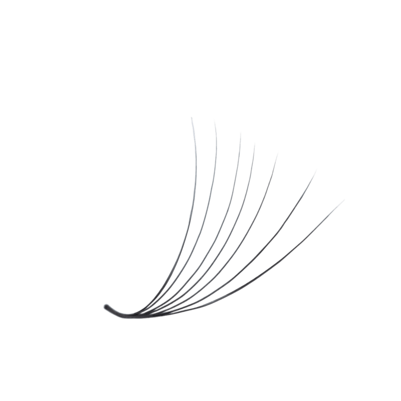 3D LASHBOOK Promade Volume Fans 3D LASHBOOK Promade Volume Fans