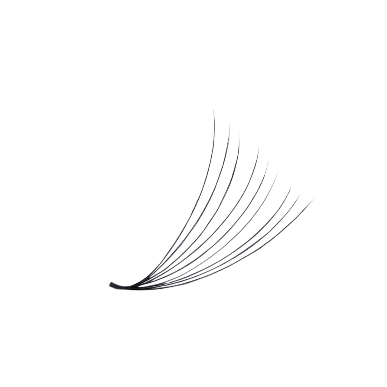 3D LASHBOOK Promade Volume Fans 3D LASHBOOK Promade Volume Fans