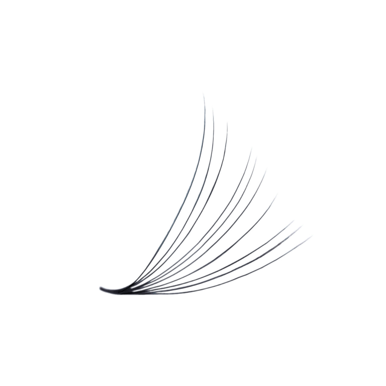 3D LASHBOOK Promade Volume Fans 3D LASHBOOK Promade Volume Fans