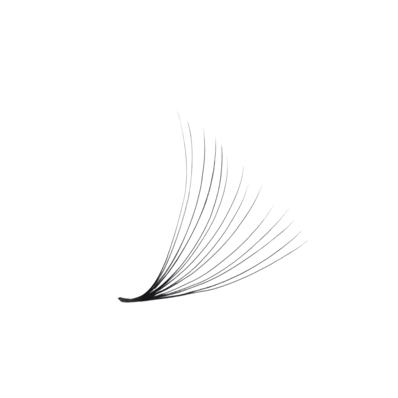 3D LASHBOOK Promade Volume Fans 3D LASHBOOK Promade Volume Fans