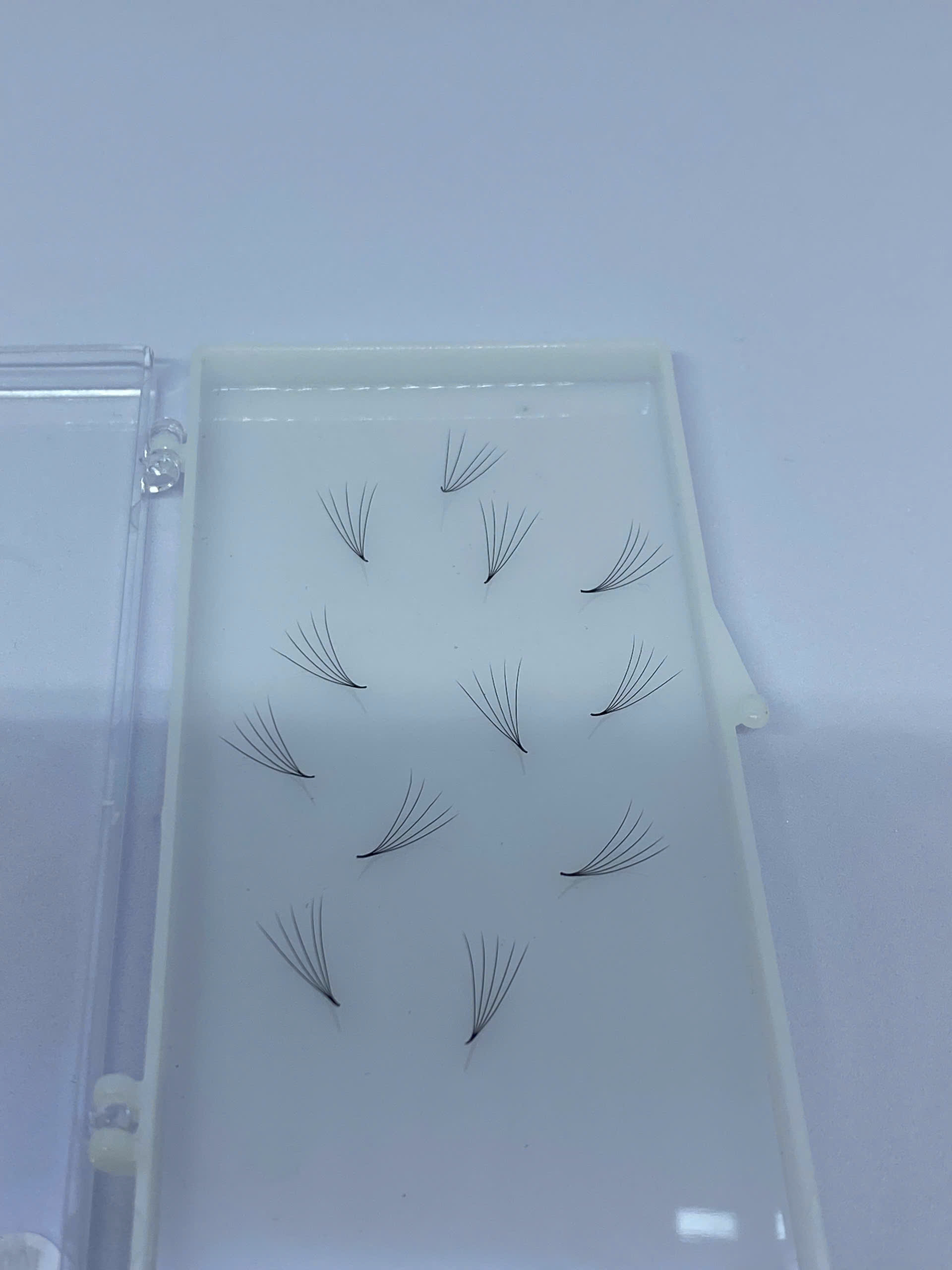 5D Promade Loose - 500 fan/box 5D Promade Loose - 500 fan/box