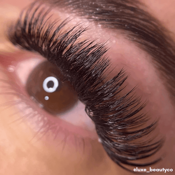 5D Loose Promade Wispy Lashes 5D Loose Promade Wispy Lashes