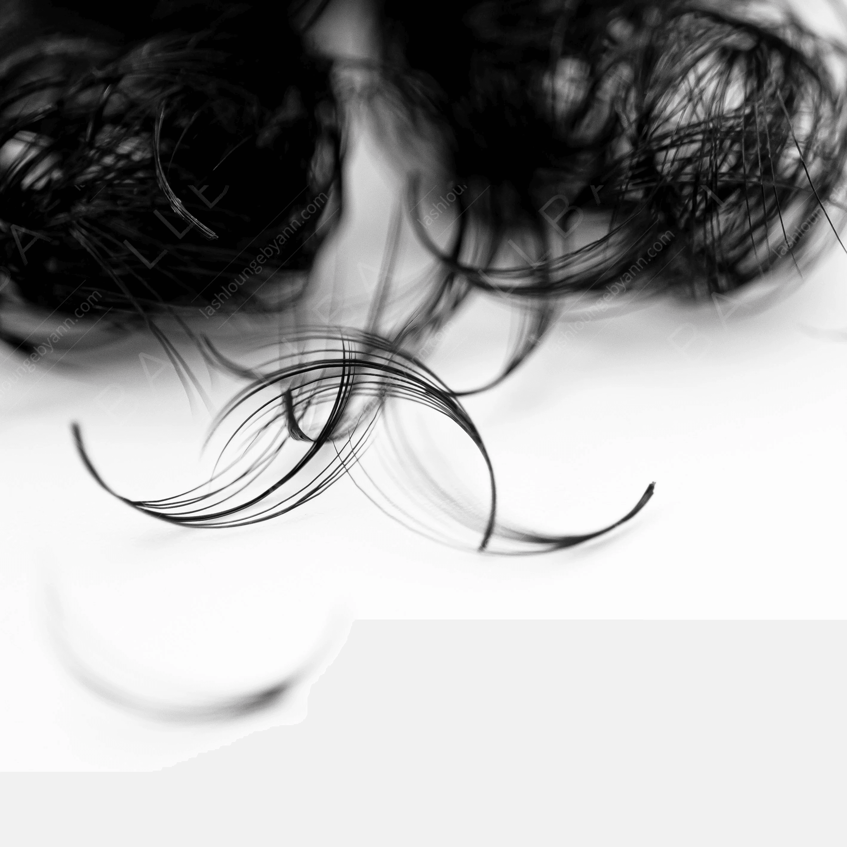 5D Loose Promade Wispy Lashes 5D Loose Promade Wispy Lashes